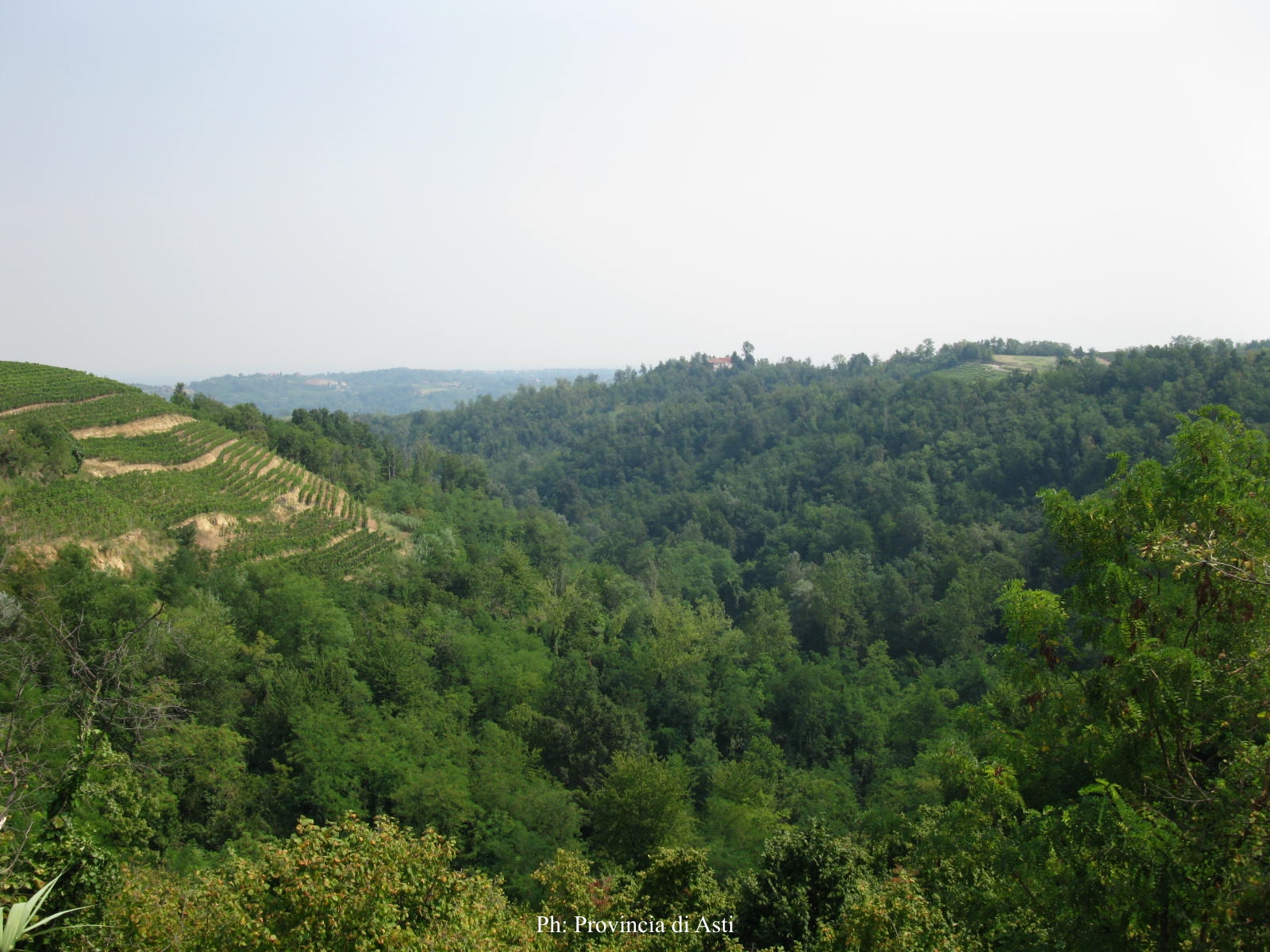 Riserva Naturale Speciale della Val Sarmassa (1)