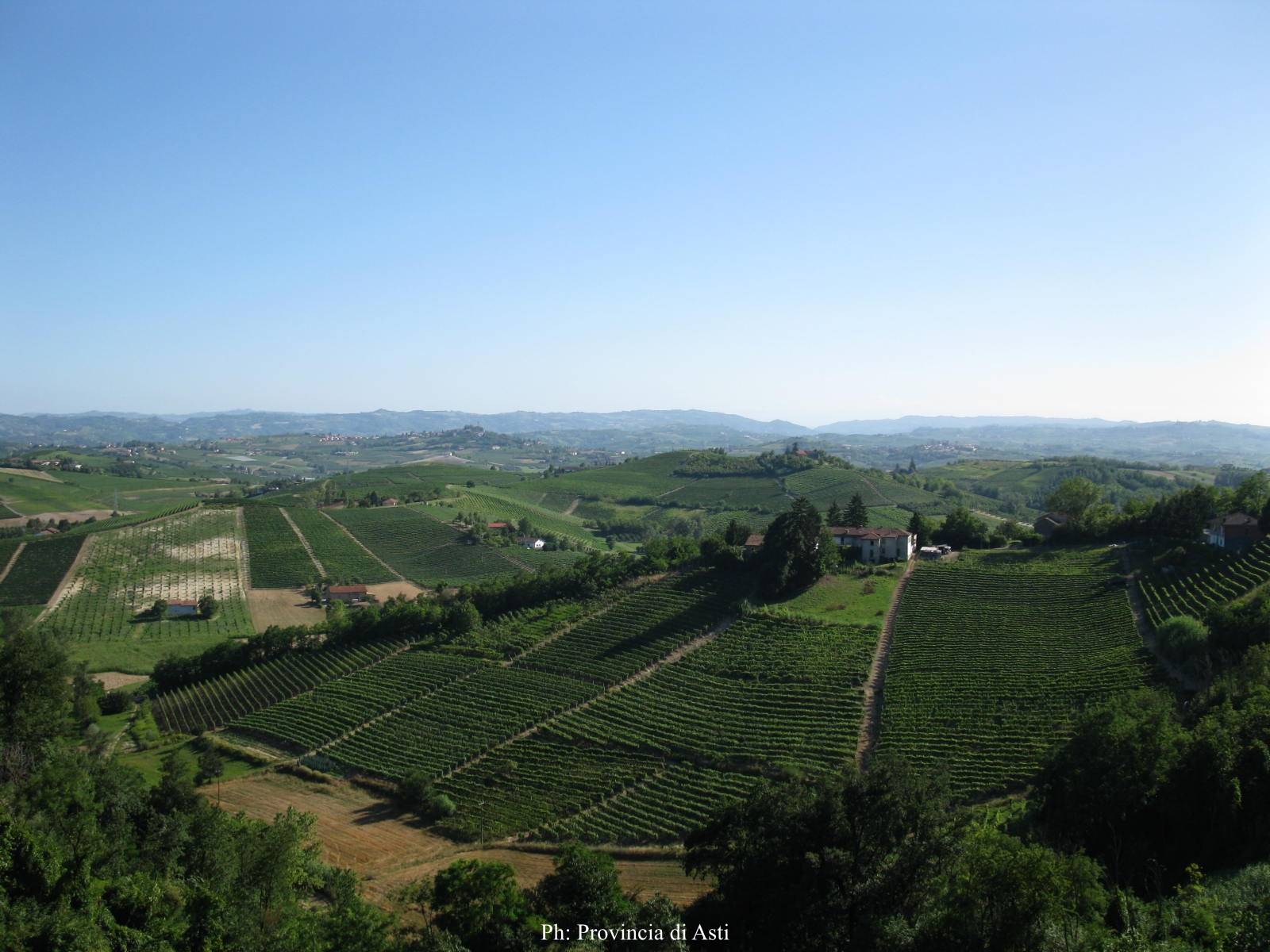 Paesaggio di Vinchio (12)