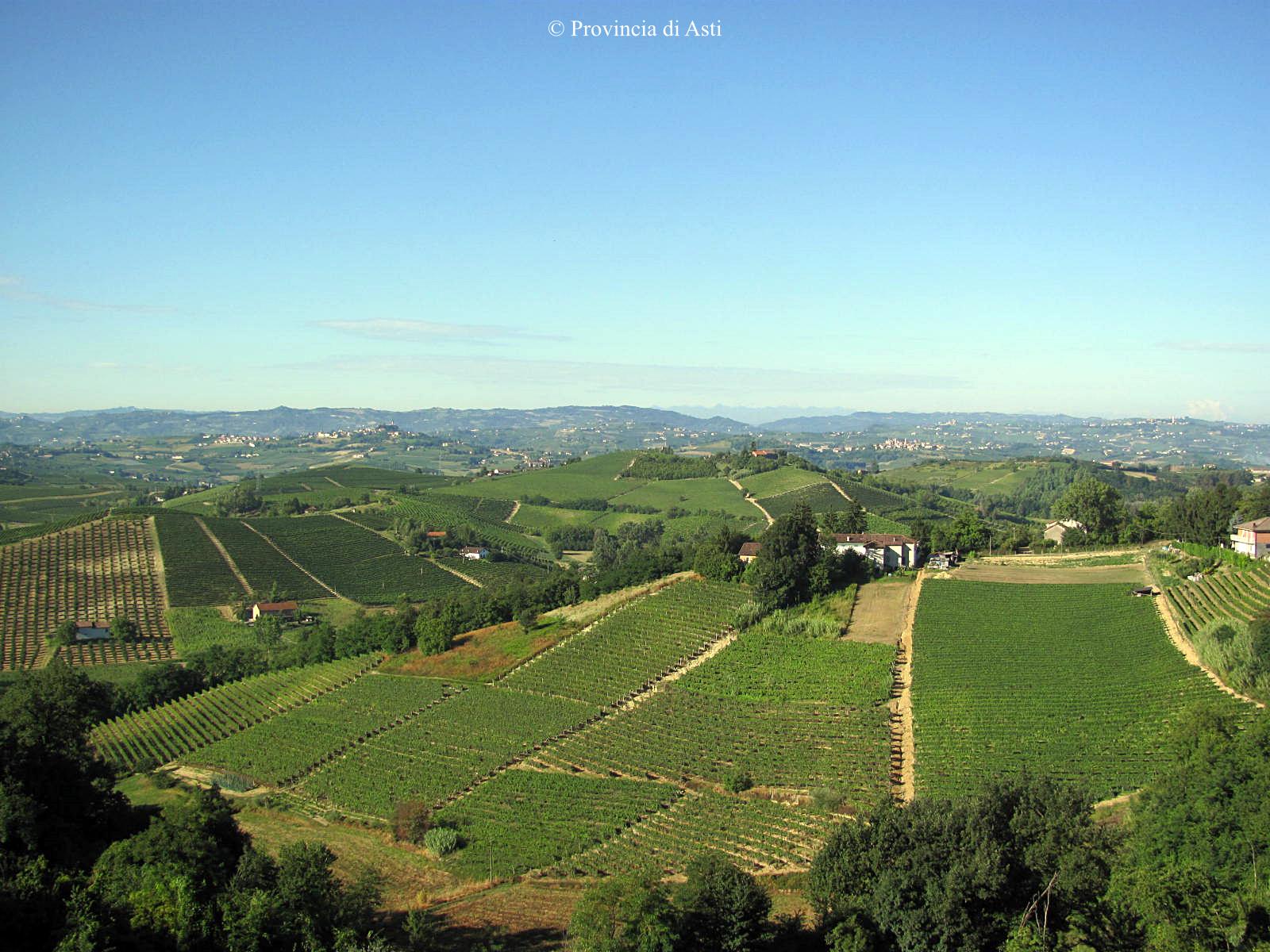 Paesaggio di Vinchio (9)