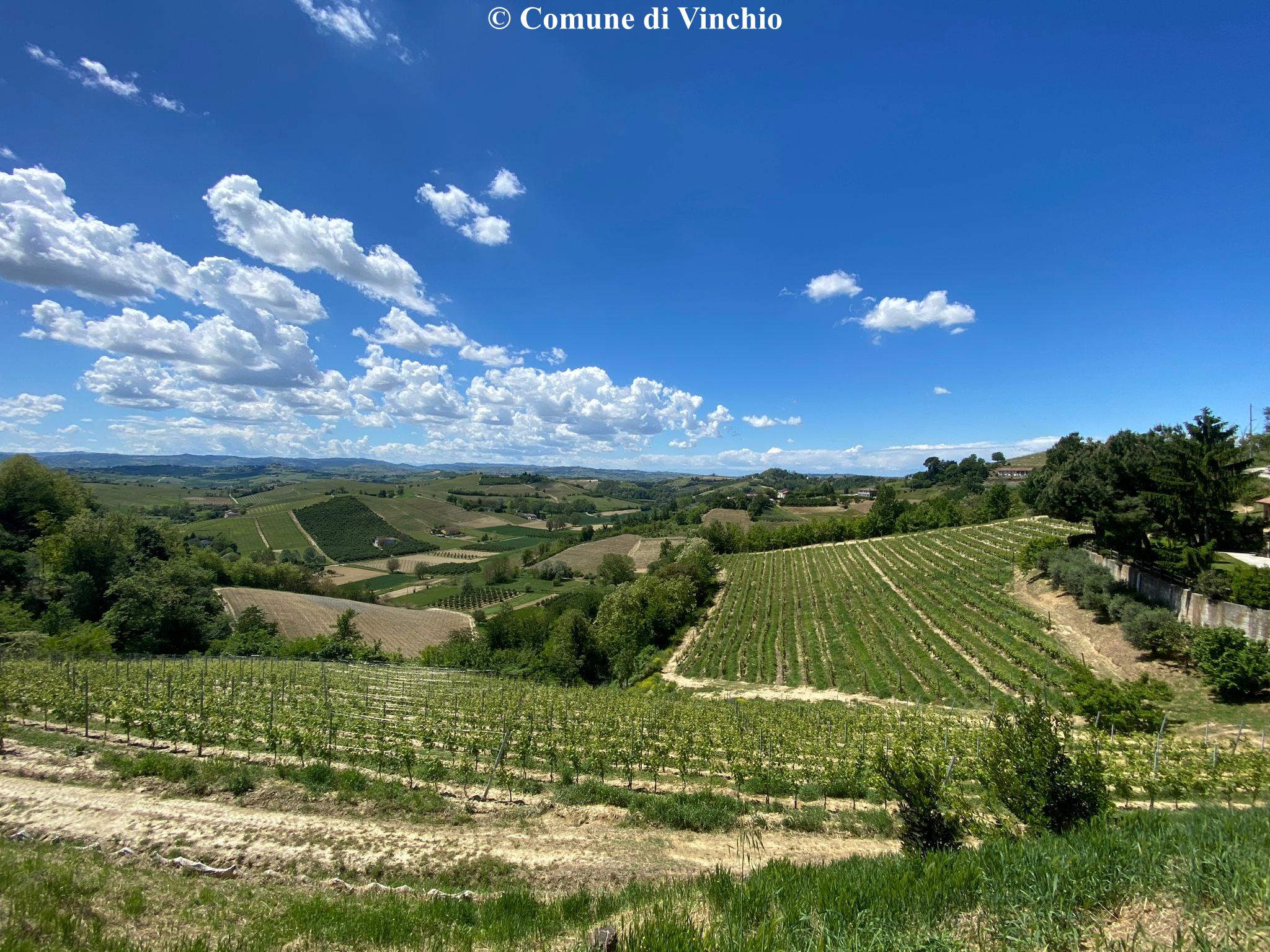 Paesaggio_8
