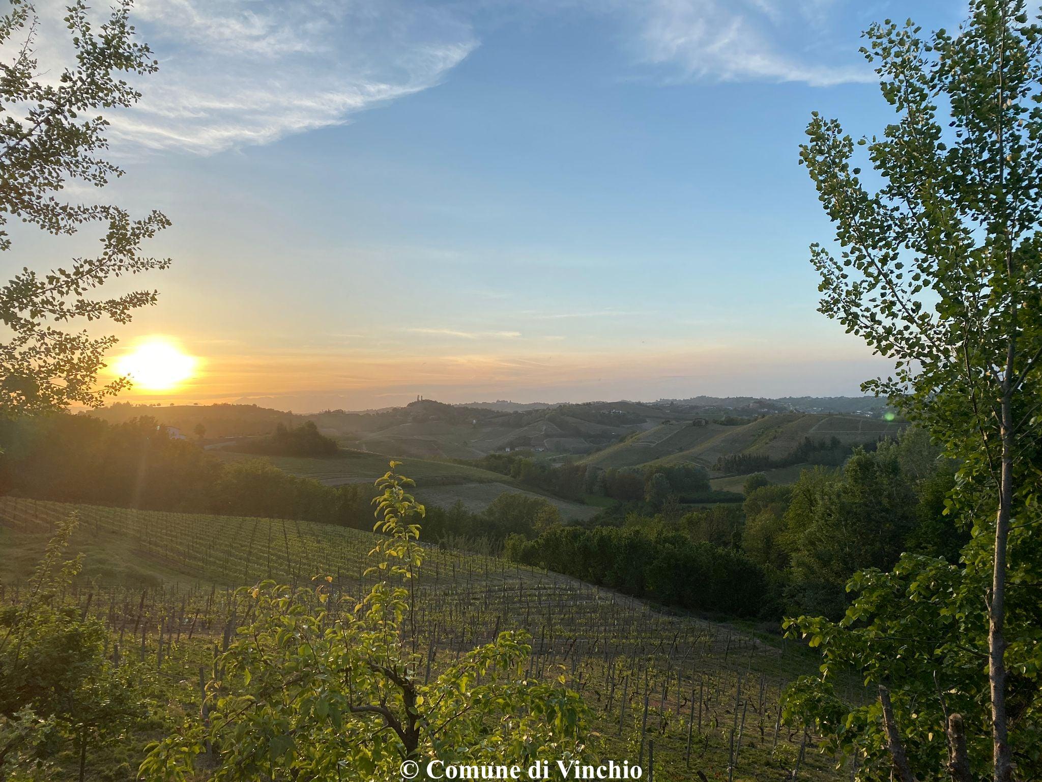 Vinchio | Camminata Nordic Walking fra boschi e vigneti della Val Sarmassa