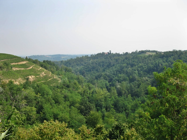Riserva_Naturale_Speciale_della_Val_Sarmassa_1